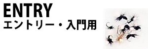 エントリー・入門用