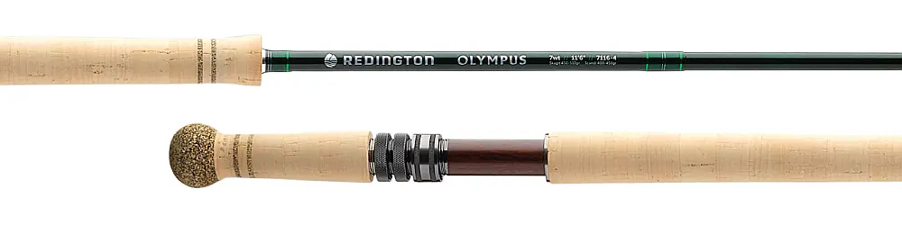 オリンパス スペイ