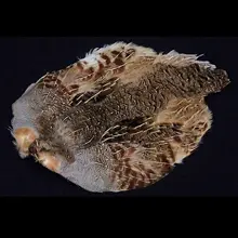 コンプリート