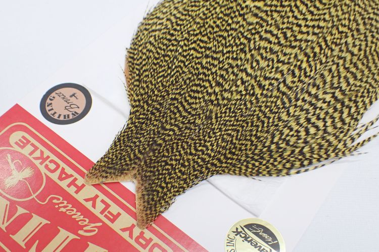 グリズリーダイドペールイエロー