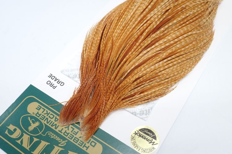 バードダークジンジャー N/C