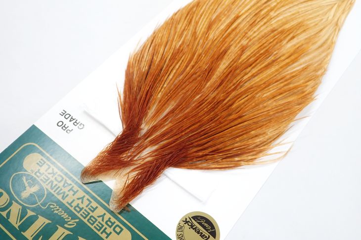 ミディアムジンジャー N/C