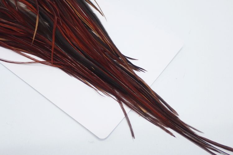 ミディアムブラウン N/C