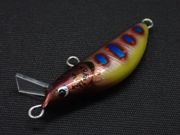 ヒョウモンアマゴ