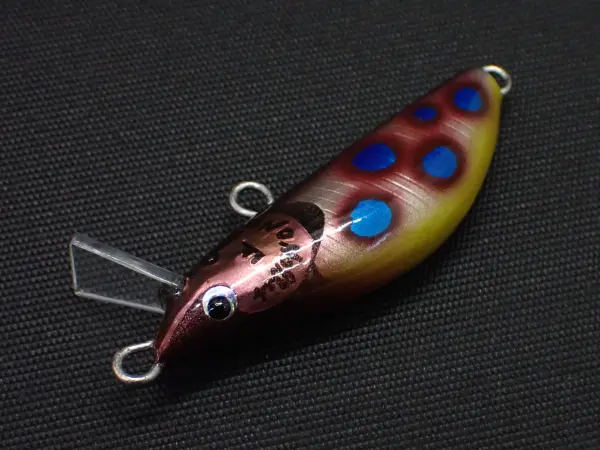 ヒョウモンダコ