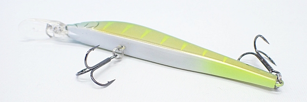 16 ターコイズグリーンゴールドパーチ