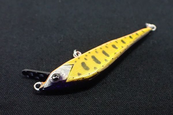 07 キンクロヤマメ