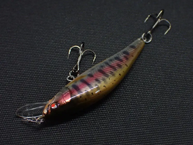 50SS/Yamame Orange Belly