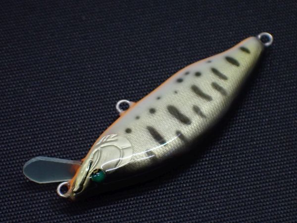 クロキンヤマメ