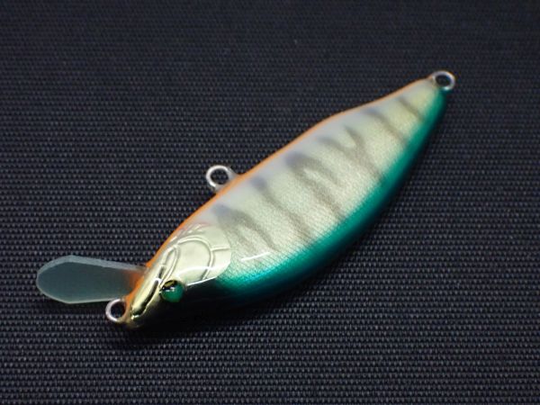 グリーンゴールド婚姻色