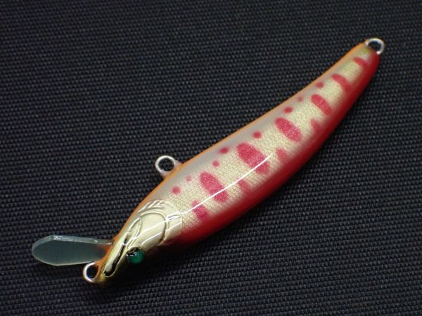 アカキンヤマメ