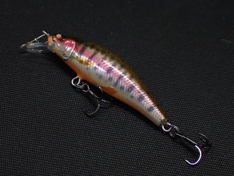 50SS/Yamame Orange Belly