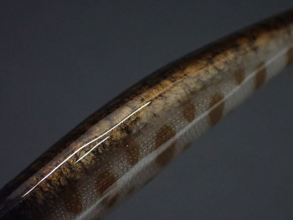 ブラウンバック(大理石調)