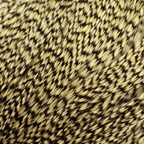 グリズリーダイド ペールイエロー