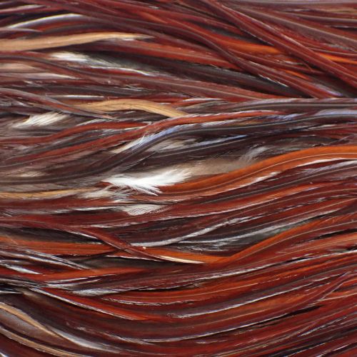 ミディアムブラウン N/C