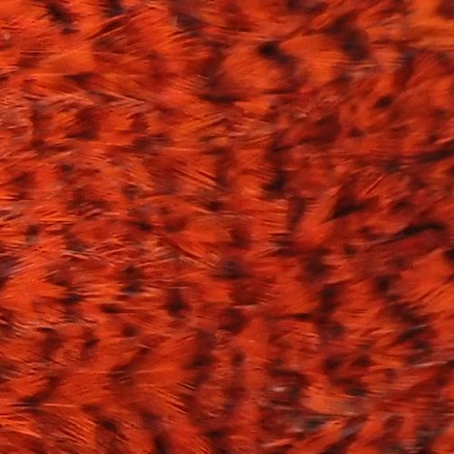 グリズリーダイド オレンジ