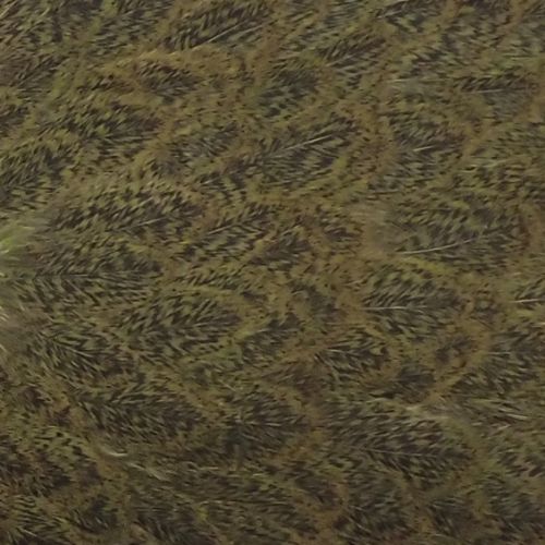 モットルドグレイダイド オリーブ