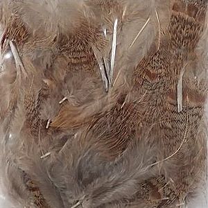 ブラウンバック