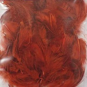 フェアリーブラウン