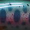 50SS/Fluorescent Amago