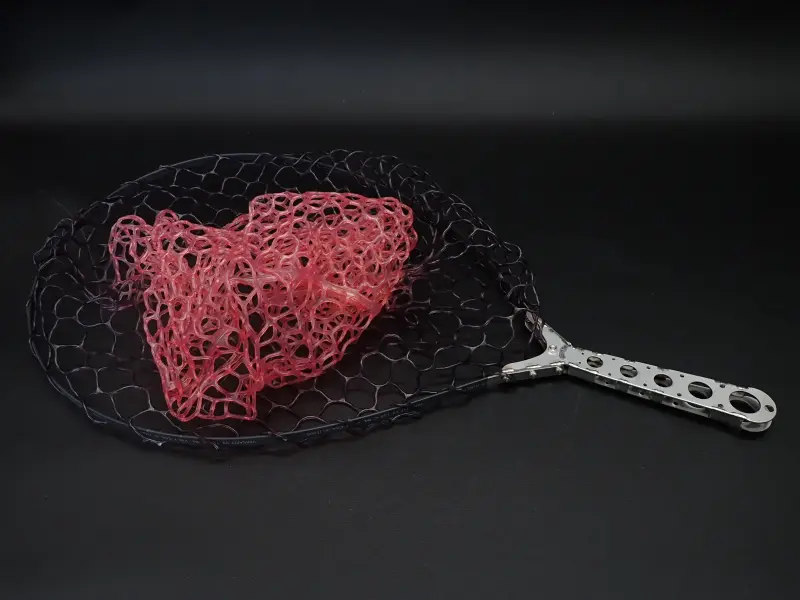 L-compactサイズ-02