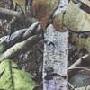 ハイランド