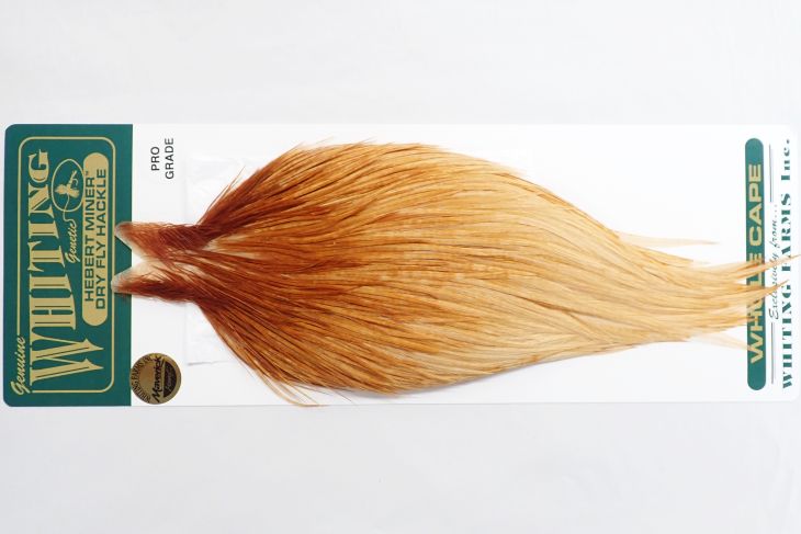 ミディアムジンジャー N/C