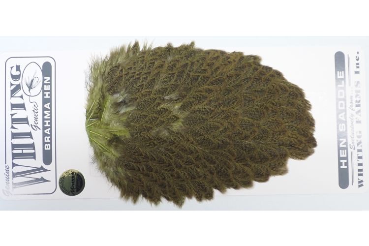 モットルドグレイダイド オリーブ