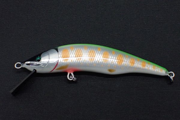 チャートヤマメ