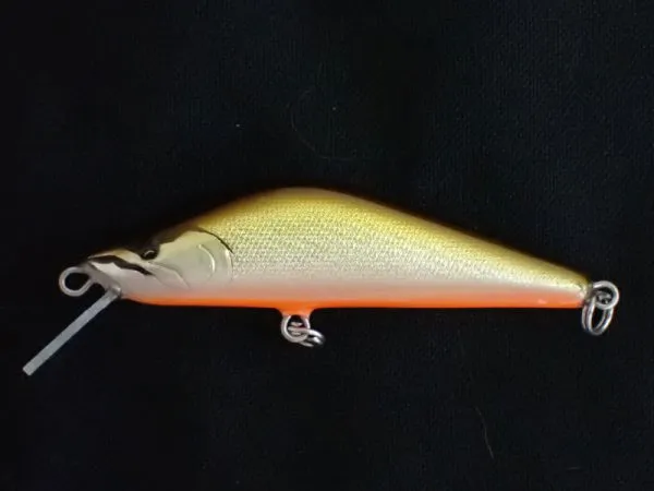TS