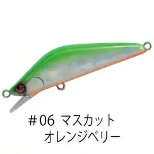 #06 マスカットオレンジベリー