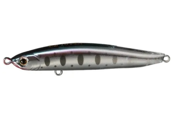 54.ヒメ