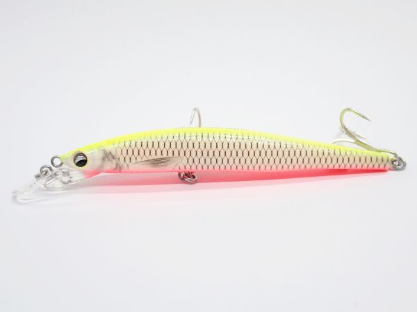 SP26-03(グロー仕様)