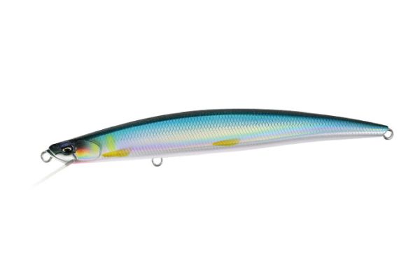 CNA4503 香魚