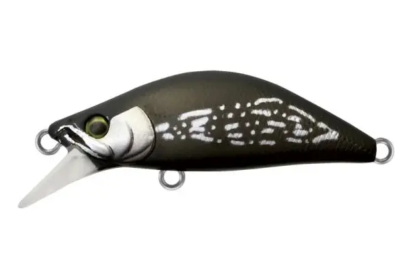 Mo-025 ブラックモス