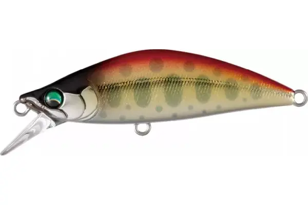 Mo-001 アカキン