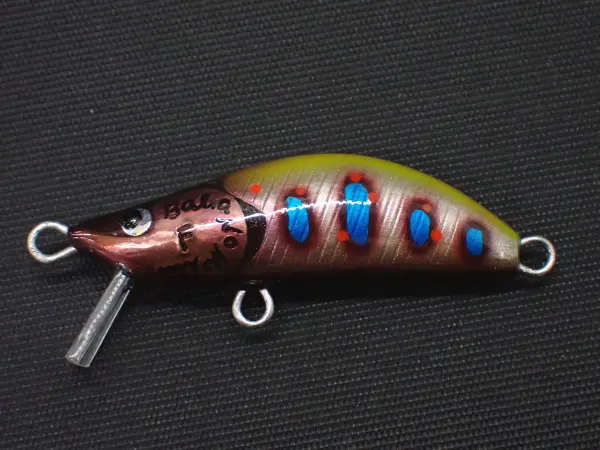 ヒョウモンアマゴ