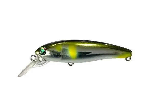 55 M-AYU