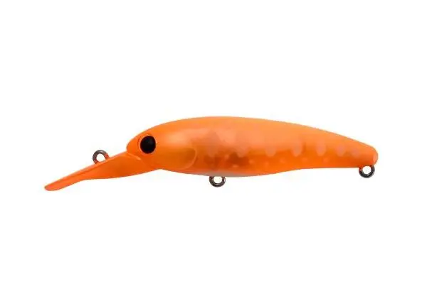 GA24 Orange・Small Parr
