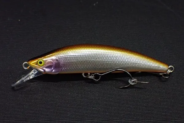 08 テネシーシャッド