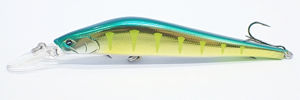 16 ターコイズグリーンゴールドパーチ