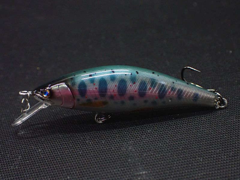 50SS/Fluorescent Amago