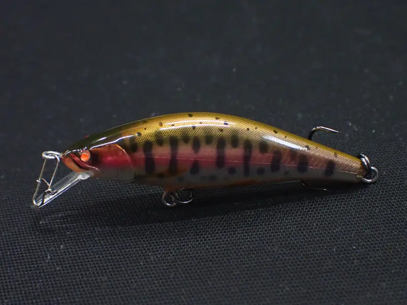 50SS/Yamame Orange Belly