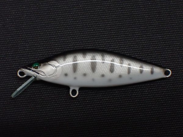 クロギンヤマメ