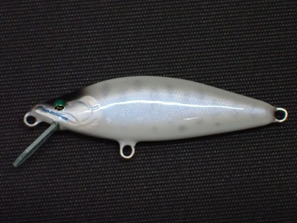 ホワイトヤマメ(ブルーパール)