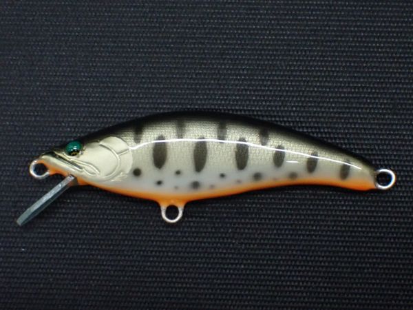 クロキンヤマメ