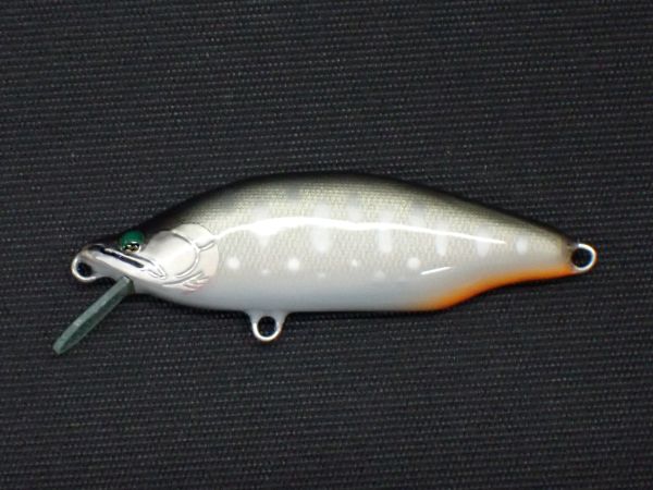 ゴールドパールバックヤマメ