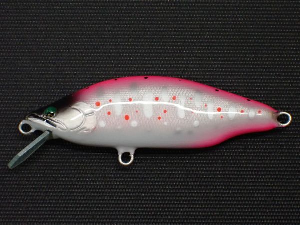 ピンクチャートアマゴ