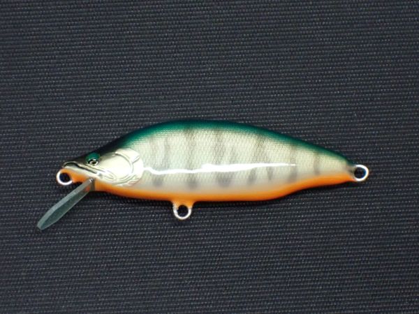 グリーンゴールド婚姻色