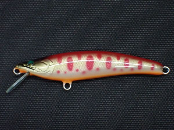 アカキンヤマメ